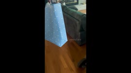 Parents bring daughter a cute little puppy for birthday *Wholesome Puppy surprise*
