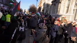 Palestinian march arrives at whitehall