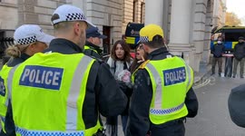 Police detain woman during pro-Palestine protest in London for holding an effigy of a dead child