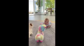 Twerking Llama Toy Entertains At Tummy Time