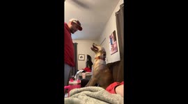 Excited Dog Pees During Hug