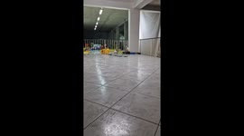 Puppy Parkour