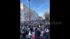 UK: Pro-Palestine Protesters March Through Central London Demanding Permanent Ceasefire 2