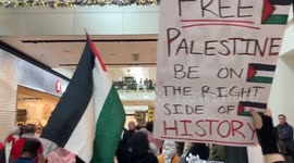 US: Pro-Palestine Protests At Malls On Black Friday To Demand Ceasefire In Gaza 4