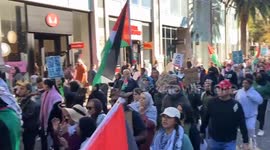 US: Pro-Palestine Protests At Malls On Black Friday To Demand Ceasefire In Gaza 3