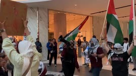 US: Pro-Palestine Protests At Malls On Black Friday To Demand Ceasefire In Gaza 2