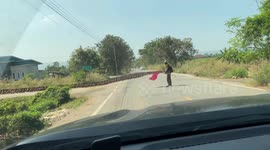 Hundreds of ducks hold up traffic to cross road in rural Thailand