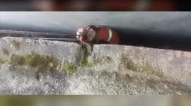 These firefighters squeeze into 10-inch gap to rescue 90-year-old woman