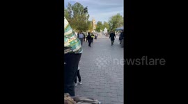 US: Man Who Stripped Down Naked On Disneyland Ride Arrested By Police 2