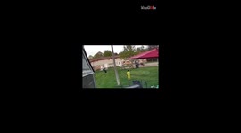 Boy's enthusiasm to play catch with dad takes a 'nosedive' following a painful mishap