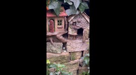 Man feeds the cute family of mouse living in his house's garden *Wholesome*