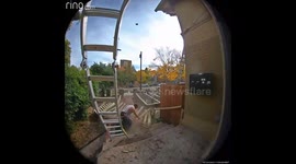 Man Falls From Ladder and Casually Walks Away