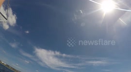 Close-up footage as shark bites diver's cage in South Africa