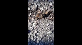 Nature and creation.