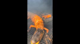 Thanksgiving Delight: Four men's culinary adventure with jambalaya stuffed bacon-wrapped gator