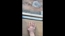 New Window Bench Is a Perfect Fit