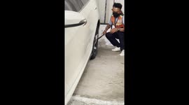 Ferocious snake lunges at reptile handler trying to remove it from car