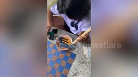 Little girl uses gardening fork and trowel to eat noodles