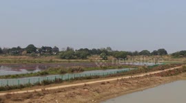 China's Hunan steps up efforts to protect migratory birds