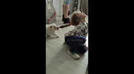 Adorable bond: Peach the dog finds playmate in Lera's ponytail