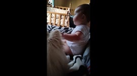 Joyful moments: dog Peach delights baby Misha with a playful sneeze in Minsk
