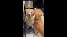 Who Doesn’t Love a Drumstick?