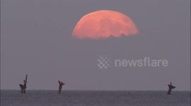 Stunning full Beaver Moon seen rising over Kent shipwreck, UK