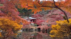 Japan: Autumn Foliage Decorates Kyoto Temples 4