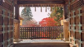 Japan: Autumn Foliage Decorates Kyoto Temples 2