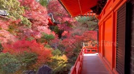 Japan: Autumn Foliage Decorates Kyoto Temples