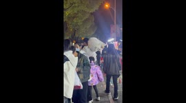 Big Samoyed dog hangs on owner's shoulder while exploring night market