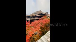 Japan: Autumn Foliage Decorates Kyoto Temples 6