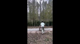 Family make stunning landscape for white wedding in China