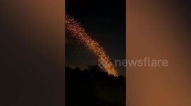 Thousands of floating lanterns form mesmerising stream of lights during Thai lantern festival