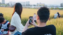 Canadian expat explores rural concert in south China