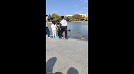 Fish Feeding Fiasco: Chinese Kids' Generosity Leads to Hilarious Mishap