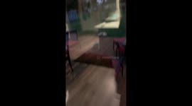 Golden Retriever Holds a Grudge