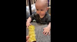 Baby boy corn-ered by disgust after mom offers him an empty corn cob
