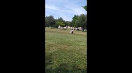 Little Dog Gets Pulled Along By Big Dog