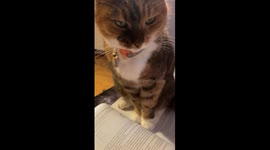 Studying Is Not Allowed