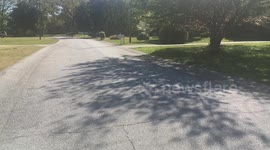 Skateboarding Ninja Clown