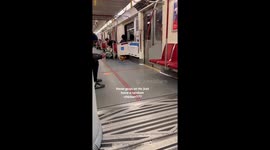 Chicken Rides the Train in Toronto