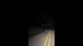 Rescue mission takes hilarious turn as troubled goat chases after girl