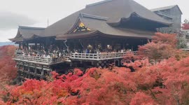 Japan: Autumn Foliage Decorates Kyoto Temples 9