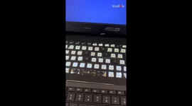 Mischievous parrot goes 'Huh?' after owner tries to blame him for wrecking keyboard