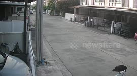 Angry crow repeatedly attacks boy outside his home