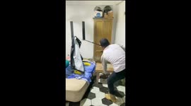 Long King Cobra Entered a Resident's Room in Indonesia