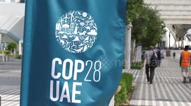 What has China done amid global efforts to address climate challenges