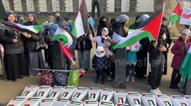 Pro-Palestine protesters lay out hundreds of “child coffins” outside Downing St calling for a permanent ceasefire