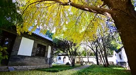 Wuyuan Scenery in Qingzhou, China